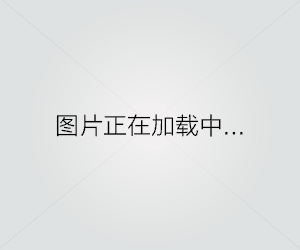 小红书信息流广告的营销策略剖析（探究小红书信息流广告的投放渠道和用户画像）第1张