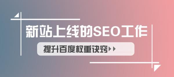 如何进行网站首页的SEO优化（百度SEO技术介绍及优化流程）