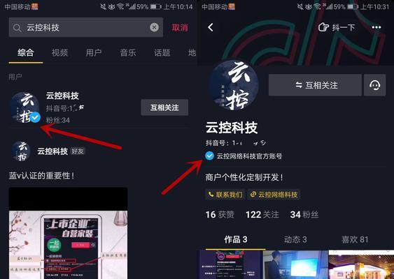 抖音企业号和蓝V的区别与解析（不同认证方式的企业营销之道）