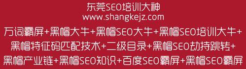 分析Alexa网站排名下降的原因及应对措施（详解Alexa排名的影响因素及优化建议）