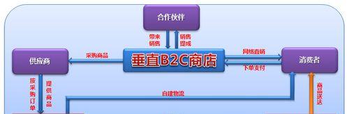 B2C网站搜索引擎优化SEO实践指南（如何让您的B2C网站在搜索引擎中脱颖而出？）