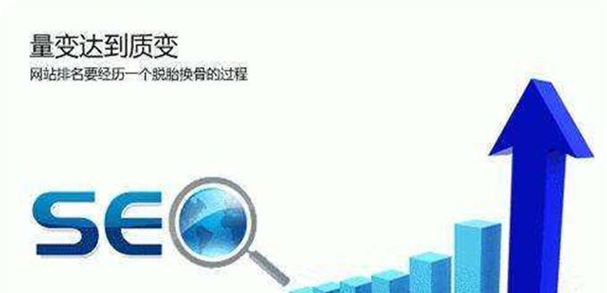 数据分析在SEO优化中的重要性（如何利用数据分析提升网站排名）