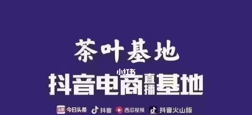 开通抖音小店，趁早占领电商市场（小店开张，财源滚滚来；小店维护，客户满意赢）