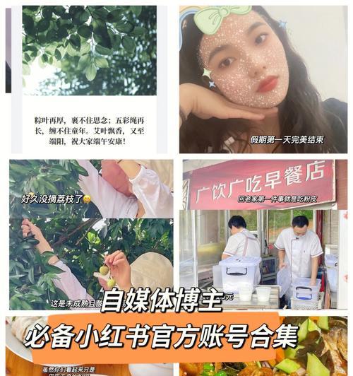 玩小红书的益处（从娱乐到学习，让你受益无穷）