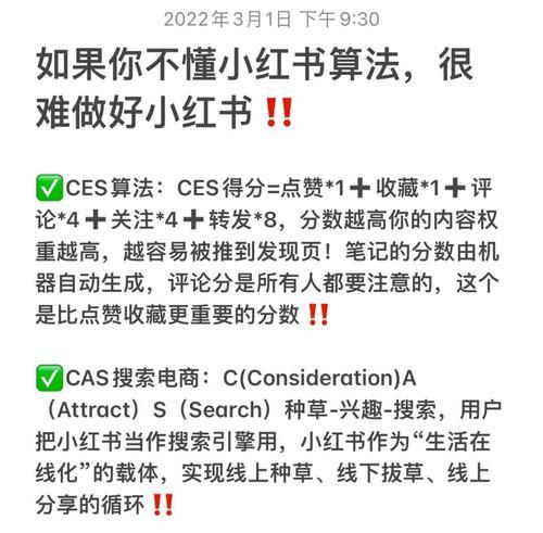 如何高效利用小红书做笔记（小红书笔记合集指南）