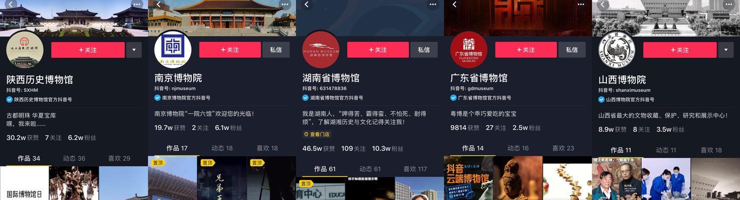抖音号标签小技巧，让你更快增加粉丝！（掌握这些标签技巧，让你在抖音上更受欢迎！）
