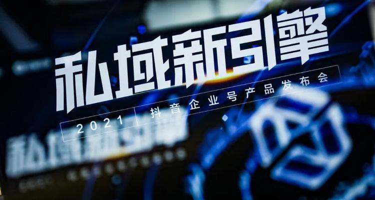 抖音商业IP起号核心教程（抖音营销必备技能，掌握商业IP起号方法）
