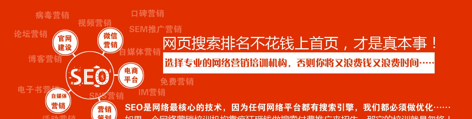 如何优化营销策略提升网站排名（掌握这些技巧）