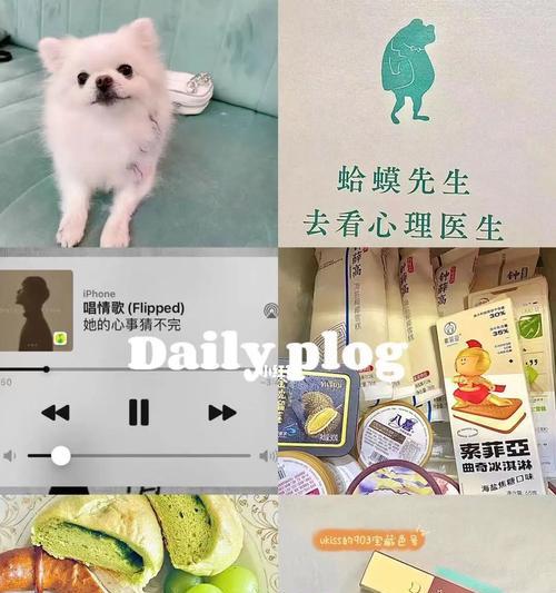 让你看到不一样的世界（让你看到不一样的世界）