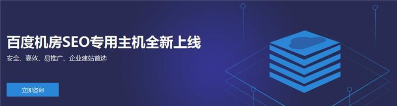 如何选择适合网站优化的虚拟主机（关键因素解析）