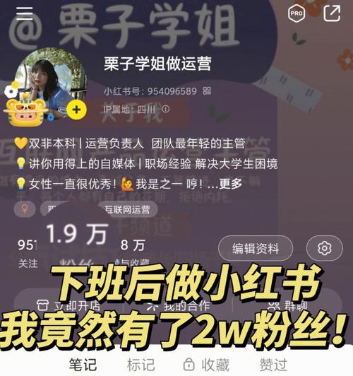 小红书带货必备条件详解（如何成为一名优秀的小红书带货人）