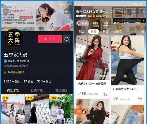 抖音电商入行指南（如何成为抖音电商行业的成功者）