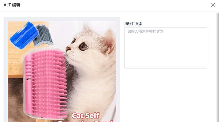 主题：探秘SEO快排技术：让网站快速上首页