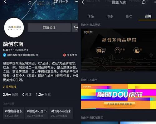 抖音个人账号如何获得蓝V认证（详细解析个人账号获得蓝V认证的步骤和注意事项）
