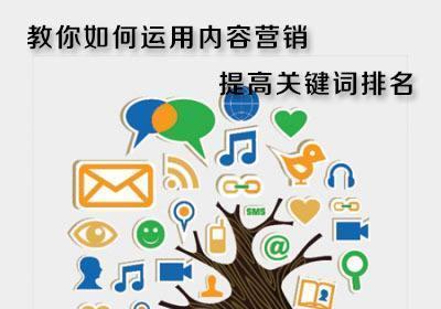 网站SEO优化方法详解（掌握这些技巧）