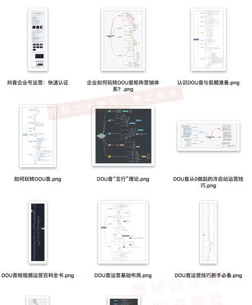 抖音运营工作内容全解析（从推广策略到用户互动）