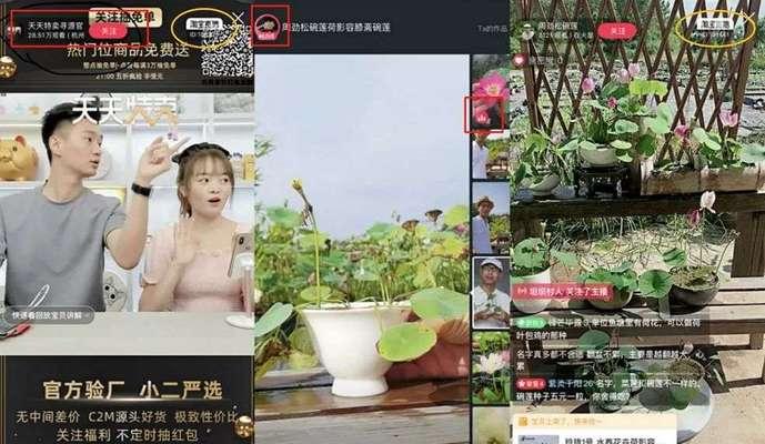 快手与拼多多联手，打造新型社交电商（快手用户可直接关联拼多多店铺）