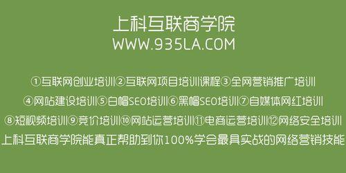 锚文本对网站排名影响真的有那么大吗（揭开搜索引擎优化中的“锚文本”神秘面纱）