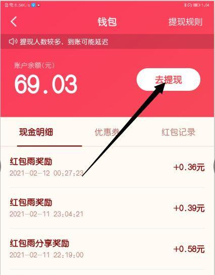 揭秘抖音提现手续费，如何避免不必要的损失（教你减少提现手续费）