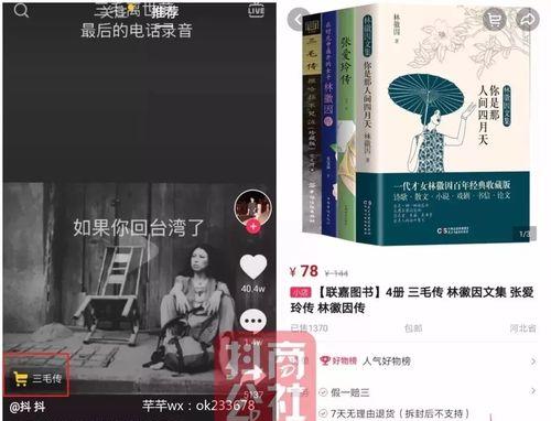 解读抖音小店补寄（了解抖音小店补寄的流程和注意事项）