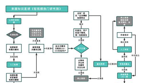 抖音个人认证领域（从适合性、可信度、流量等角度出发）