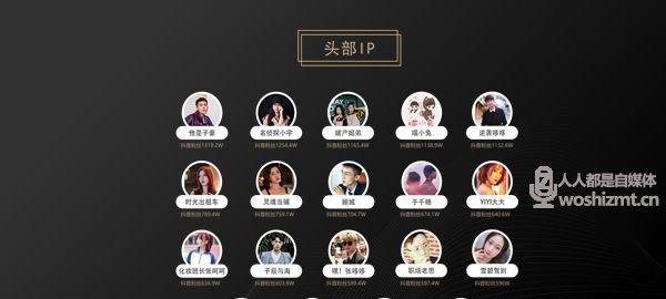 抖音MCN机构和公会的区别（如何选择更适合自己的合作方式）
