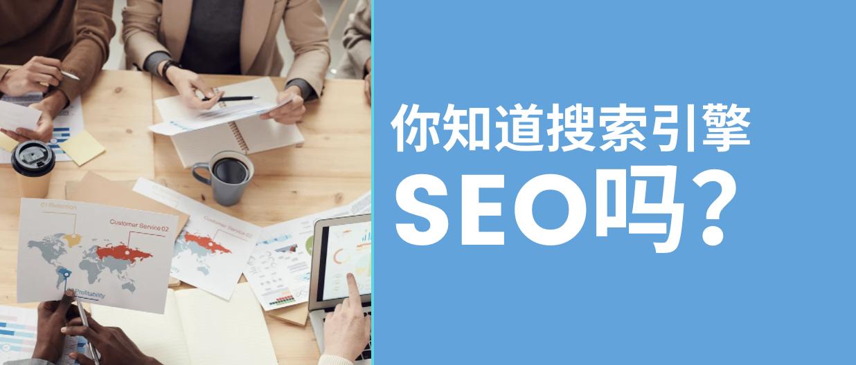 搜索引擎竞价和优化的区别（深入了解搜索引擎竞价和优化的不同之处）