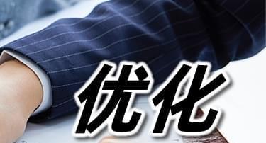 站群优化——职业选择与技巧（探究站群优化职业的适应性与优势）