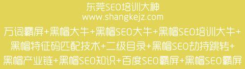 成为SEO大牛的10个步骤（掌握SEO技能）