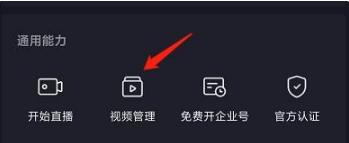 抖音小游戏，你玩过哪些（畅玩抖音小游戏）