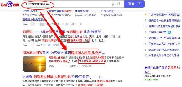 为什么我的网站上不了百度（探究网站被百度封杀的原因及应对策略）
