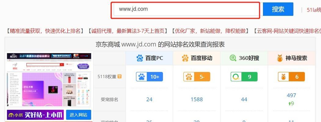 SEO数据分析技巧与实践（掌握SEO数据分析）