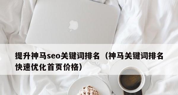 如何优化以提高文章排名（细说优化技巧）