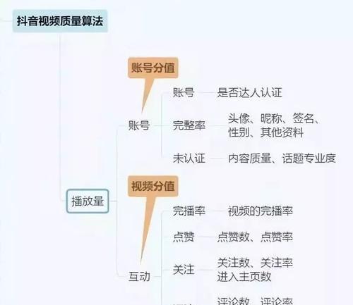 抖音开店运营指南（打造属于自己的品牌）