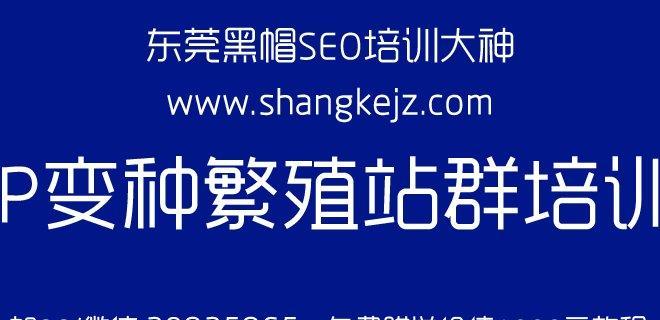 网站快照被劫持怎么办（遭遇网站快照被劫持）