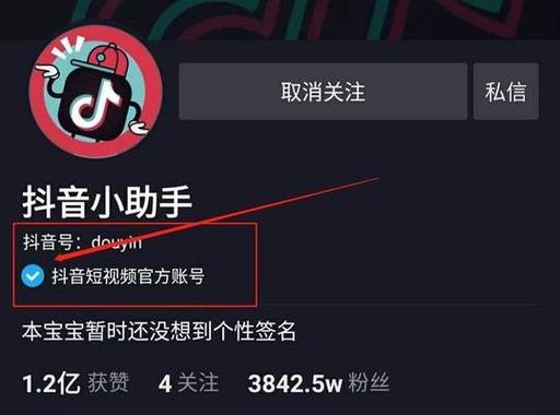 开通抖音蓝V的方法和步骤（教你如何成为蓝V认证用户）