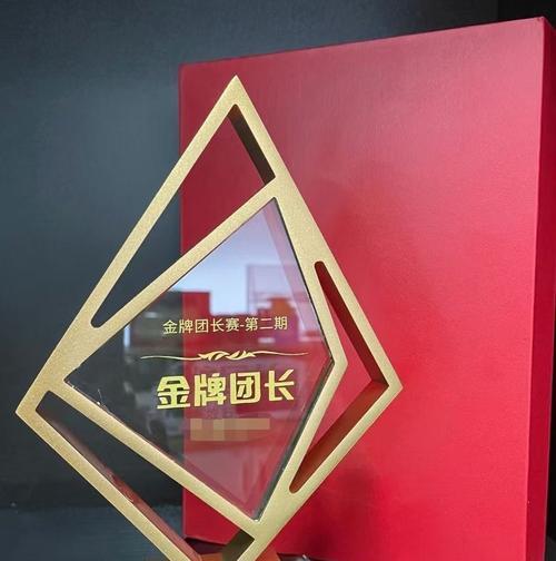 抖客团长赏金任务解析（掌握赚钱技巧）