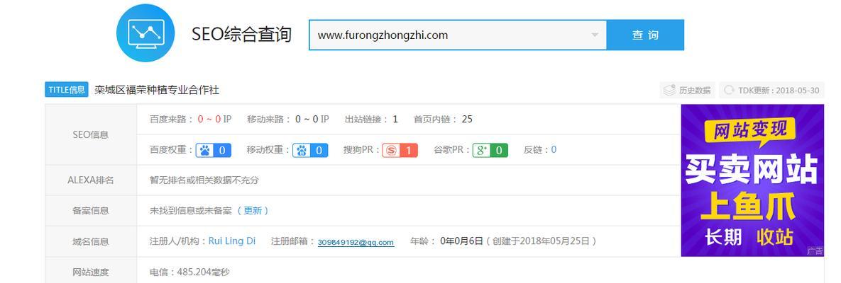 “H1标签在网站优化中的重要性”（“掌握H1标签的正确使用方法”）