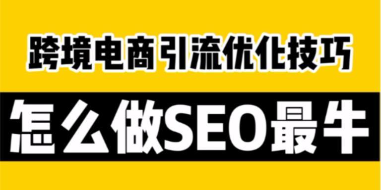 探讨SEO引流的有效性（如何让你的网站吸引更多的流量）