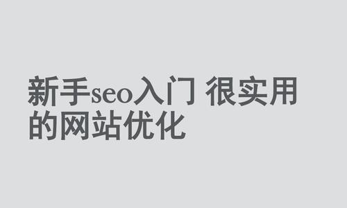如何优化单页面站点的SEO（打造高效的单页站点）
