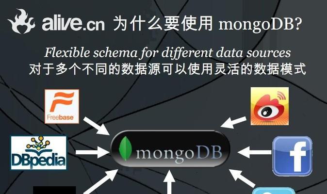开源之道（探究开源技术如何提升网站设计师的能力与质量）