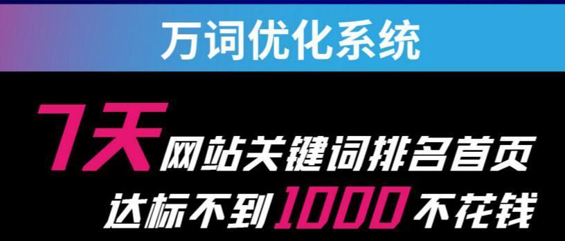 分享老域名做SEO优化的优势（如何利用老域名提升网站权重和排名）