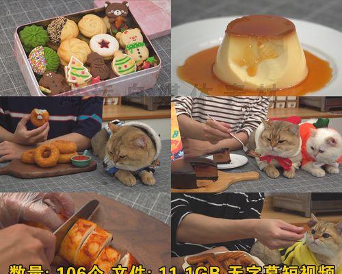 抖音美食账号如何快速起步（掌握这些技巧）