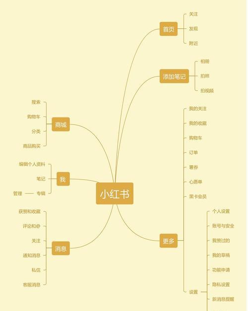刚注册的小红书账号需要养号吗？如何正确养号提高权重？