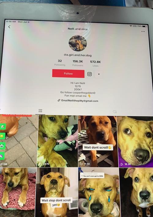 TikTok电商短视频智能生成工具的优势是什么？如何提高电商转化率？