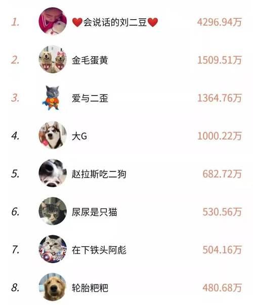 50万粉丝的网红一条广告费是多少？如何定价？