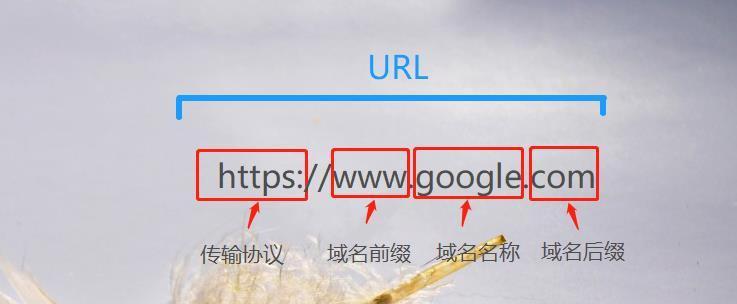 网站URL设计有哪些关键环节？如何优化URL结构提高SEO效果？