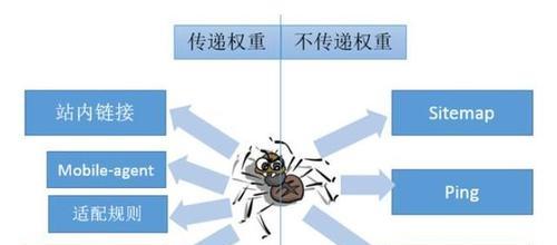 如何分析蜘蛛抓取网站的频率？哪些因素影响蜘蛛抓取？