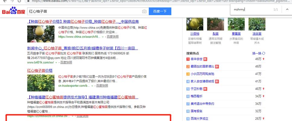 赣州网站优化中百度快照大小如何影响SEO？