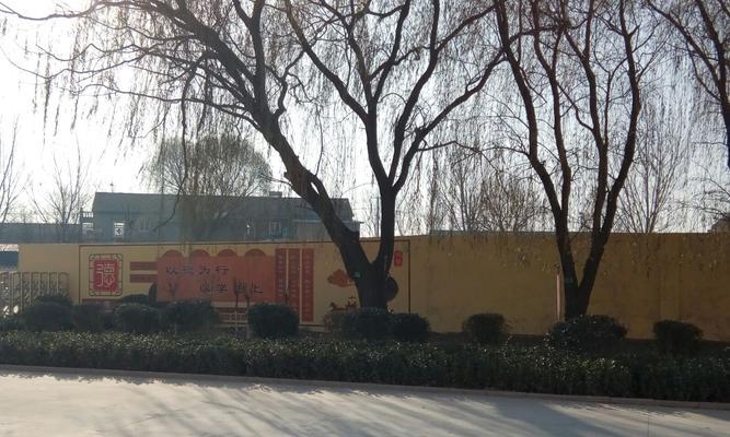 临邑网站建设中遇到的常见问题是什么？
